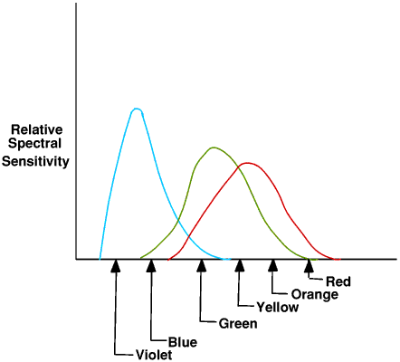 Cone Sensitivity Curves